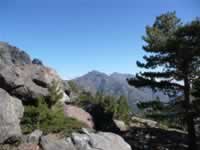 Korsika Bild 58